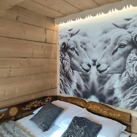 Apartment I Regionalny Styl Ul Bachledy 41 Zakopane