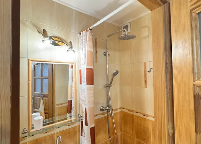 I Regionalny Styl Ul Bachledy 41 扎科帕内